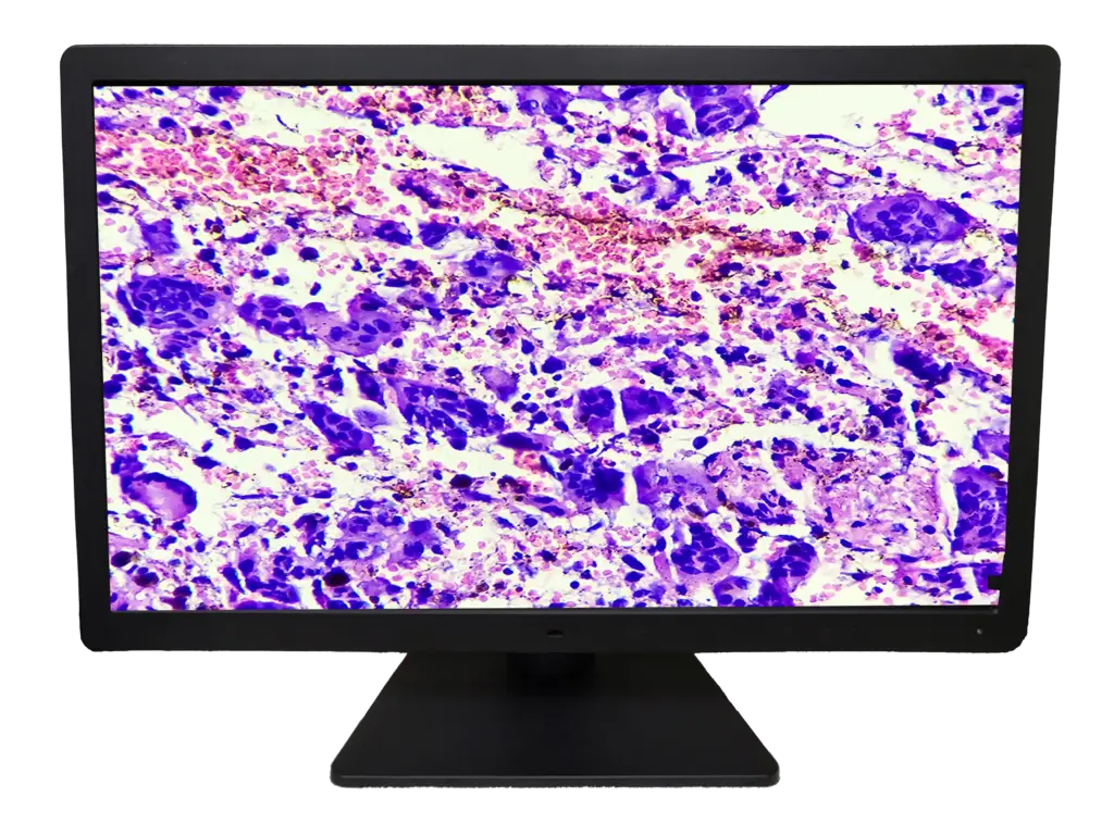 DBI PA27 Display