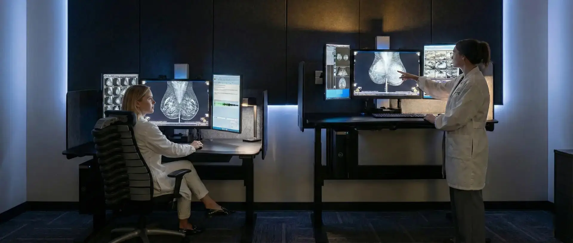 2 Breast Imaging Radiologists reading on the Gemini 12MP and Phoenix II