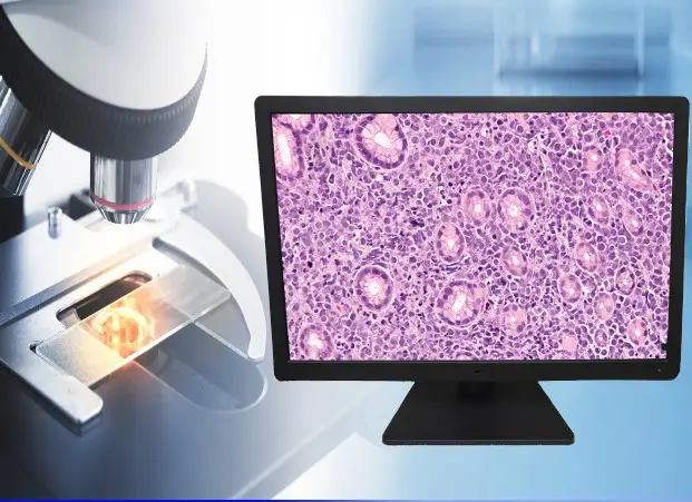 PA27T with Pathology Microscope