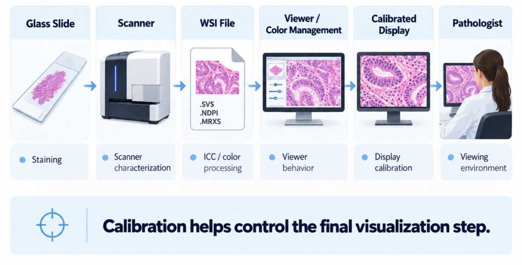 Calibration Color Chain in Digital Pathology Imaging