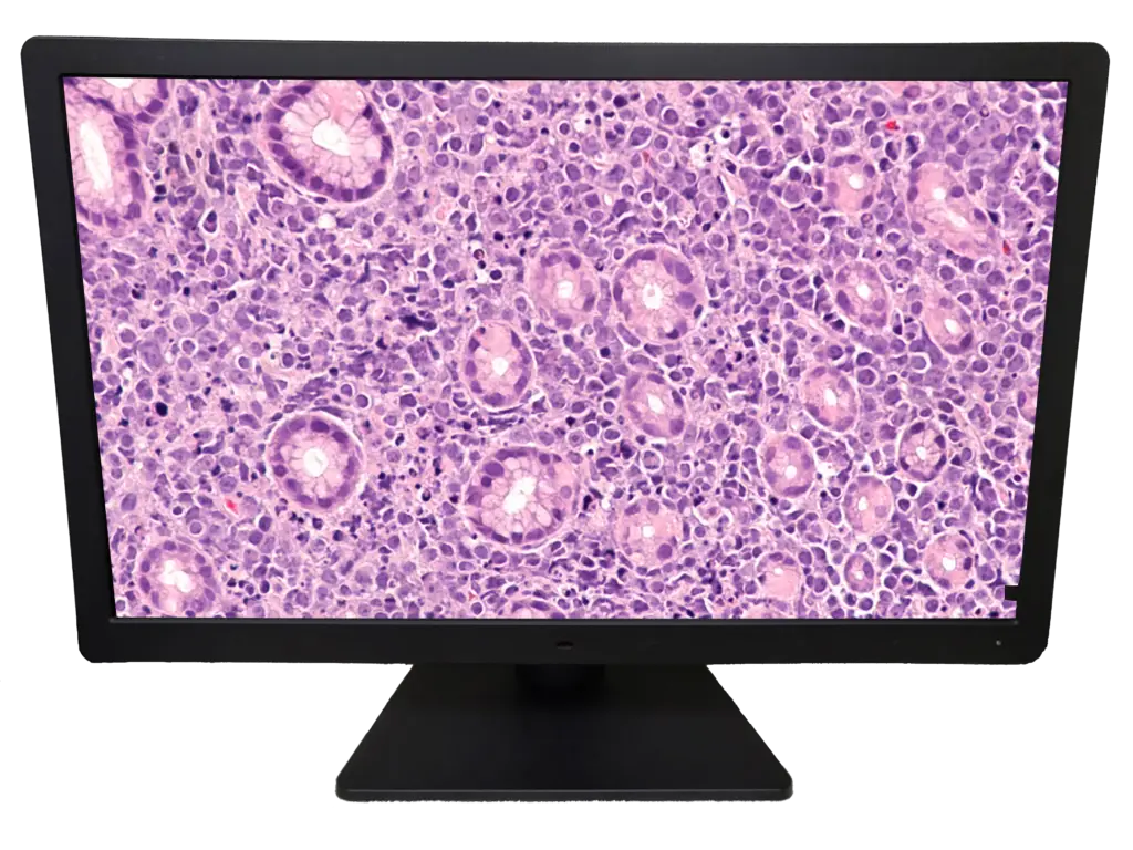 DBI PA27T 27" Digital Pathology Display with Touch
